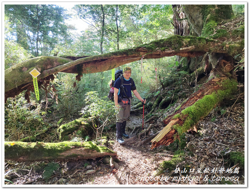 白姑大山3天2夜行Day1登山口至松針營地篇 白姑大山3天2夜行Day1登山口至松針營地篇
