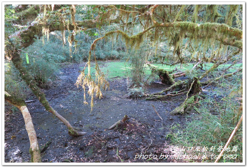 白姑大山3天2夜行Day1登山口至松針營地篇 白姑大山3天2夜行Day1登山口至松針營地篇