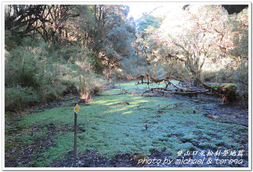 白姑大山3天2夜行Day1登山口至松針營地篇 白姑大山3天2夜行Day1登山口至松針營地篇