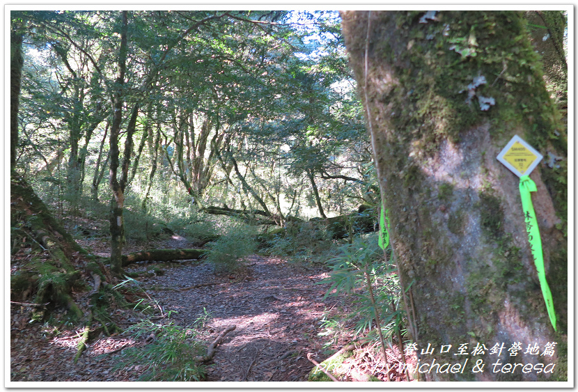 白姑大山3天2夜行Day1登山口至松針營地篇 白姑大山3天2夜行Day1登山口至松針營地篇