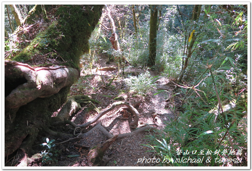 白姑大山3天2夜行Day1登山口至松針營地篇 白姑大山3天2夜行Day1登山口至松針營地篇