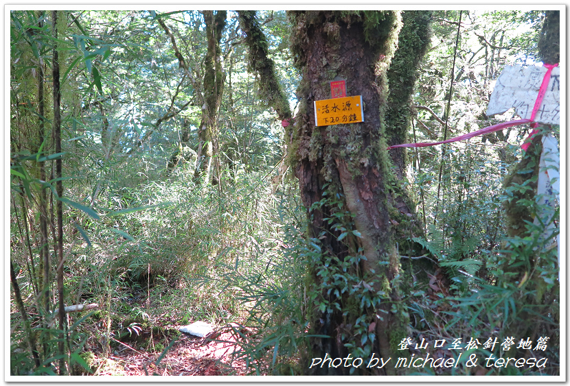 白姑大山3天2夜行Day1登山口至松針營地篇 白姑大山3天2夜行Day1登山口至松針營地篇
