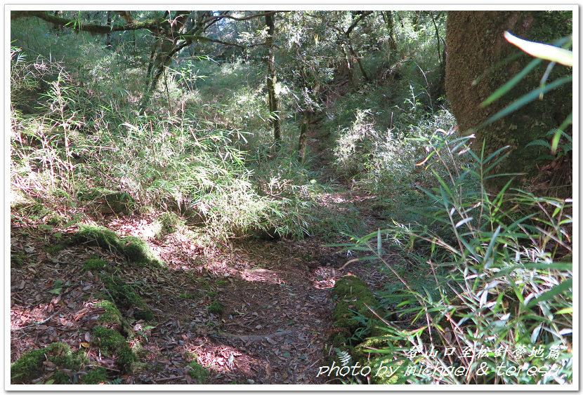 白姑大山3天2夜行Day1登山口至松針營地篇 白姑大山3天2夜行Day1登山口至松針營地篇