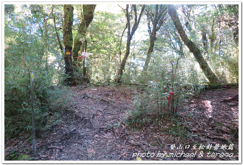 白姑大山3天2夜行Day1登山口至松針營地篇 白姑大山3天2夜行Day1登山口至松針營地篇