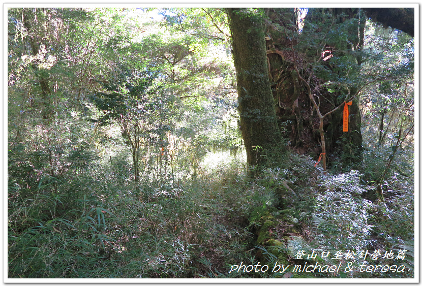 白姑大山3天2夜行Day1登山口至松針營地篇 白姑大山3天2夜行Day1登山口至松針營地篇