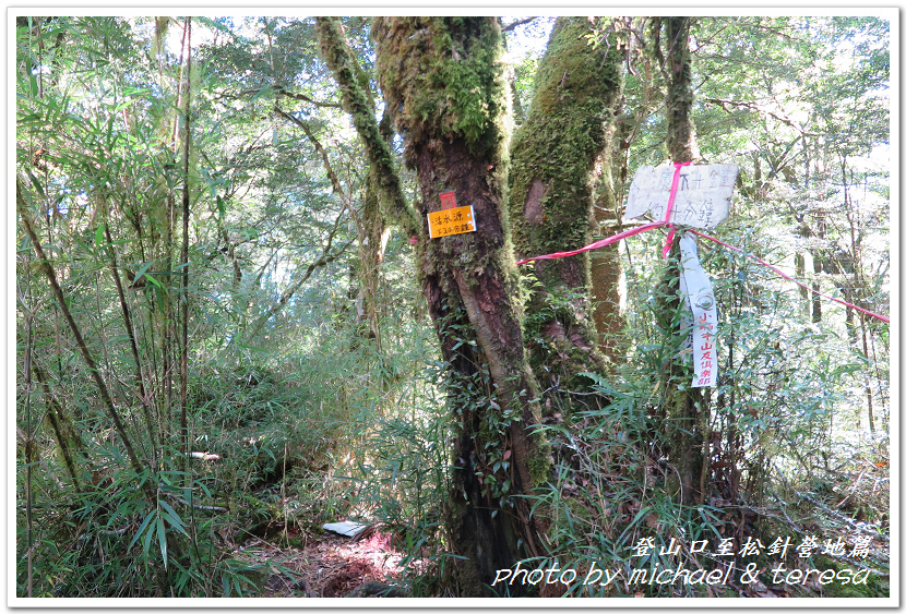 白姑大山3天2夜行Day1登山口至松針營地篇 白姑大山3天2夜行Day1登山口至松針營地篇