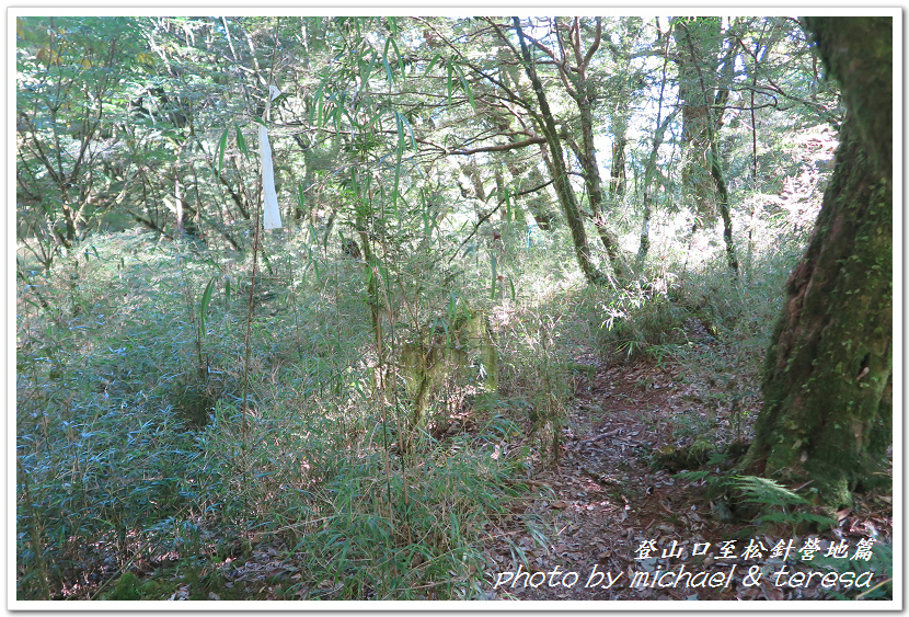 白姑大山3天2夜行Day1登山口至松針營地篇 白姑大山3天2夜行Day1登山口至松針營地篇