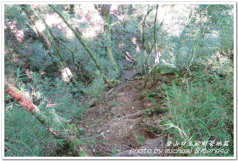 白姑大山3天2夜行Day1登山口至松針營地篇 白姑大山3天2夜行Day1登山口至松針營地篇