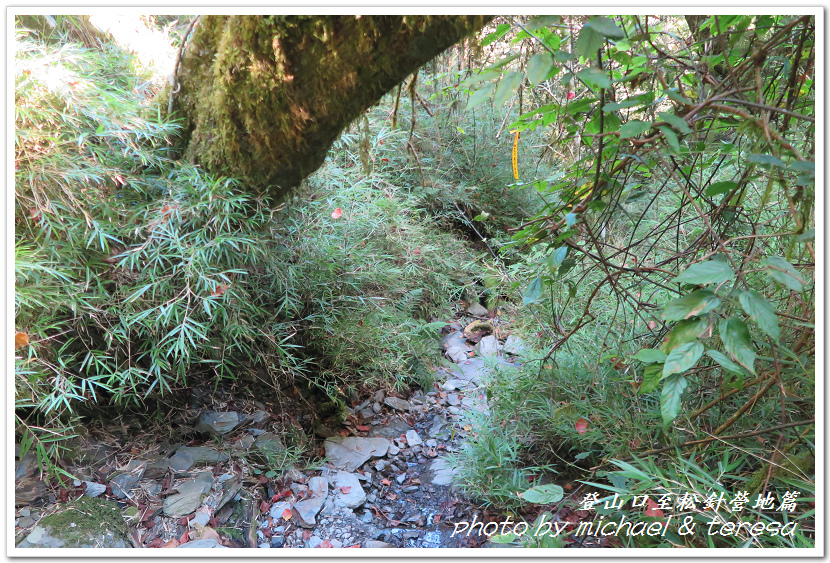 白姑大山3天2夜行Day1登山口至松針營地篇 白姑大山3天2夜行Day1登山口至松針營地篇