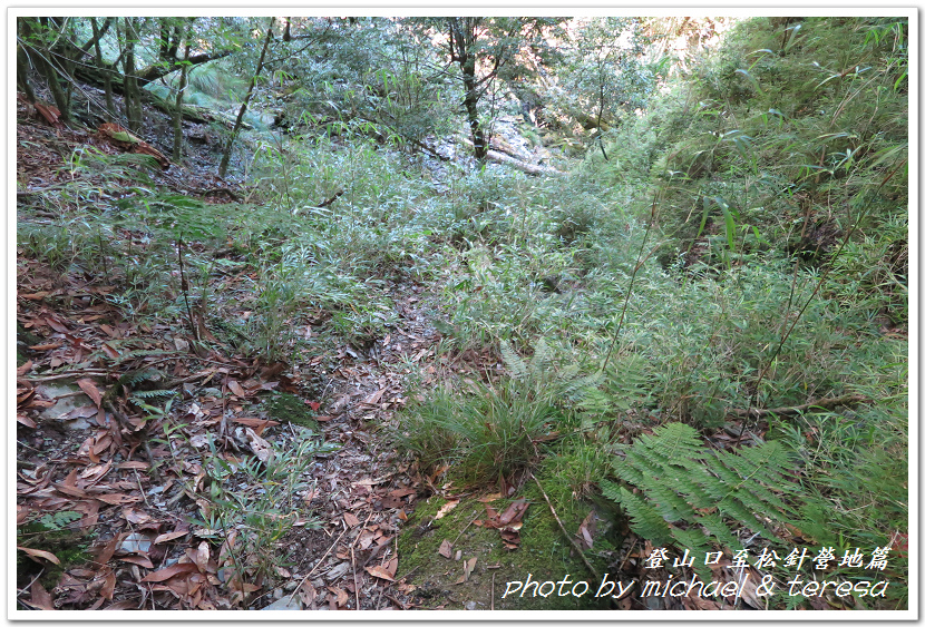 白姑大山3天2夜行Day1登山口至松針營地篇 白姑大山3天2夜行Day1登山口至松針營地篇