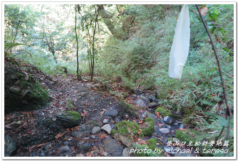白姑大山3天2夜行Day1登山口至松針營地篇 白姑大山3天2夜行Day1登山口至松針營地篇