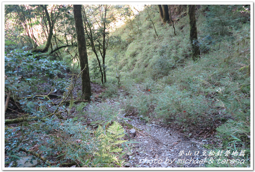 白姑大山3天2夜行Day1登山口至松針營地篇 白姑大山3天2夜行Day1登山口至松針營地篇