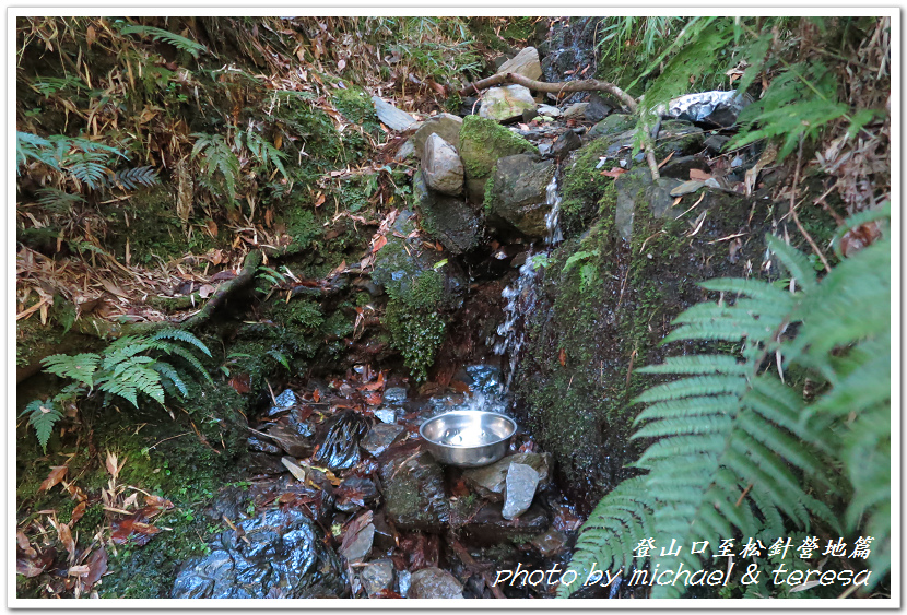 白姑大山3天2夜行Day1登山口至松針營地篇 白姑大山3天2夜行Day1登山口至松針營地篇