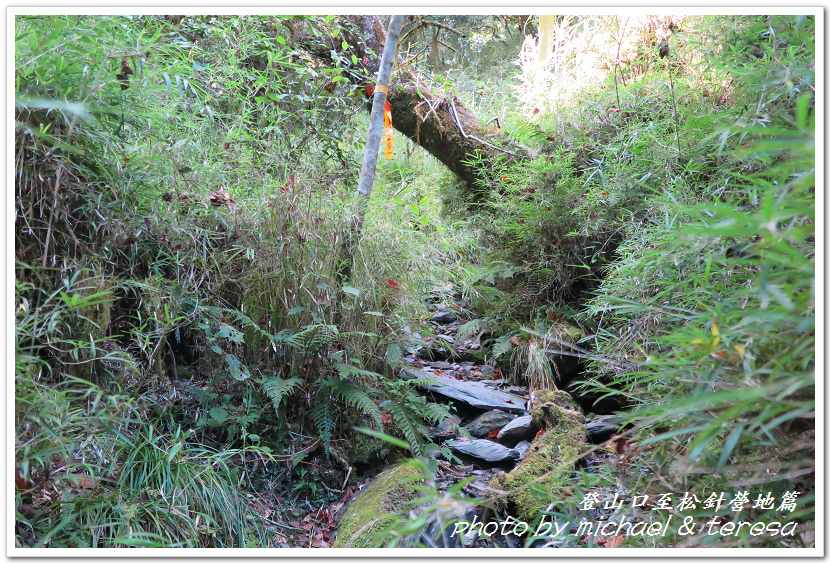 白姑大山3天2夜行Day1登山口至松針營地篇 白姑大山3天2夜行Day1登山口至松針營地篇