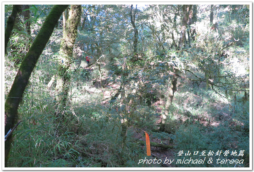 白姑大山3天2夜行Day1登山口至松針營地篇 白姑大山3天2夜行Day1登山口至松針營地篇