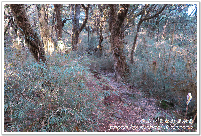 白姑大山3天2夜行Day1登山口至松針營地篇 白姑大山3天2夜行Day1登山口至松針營地篇