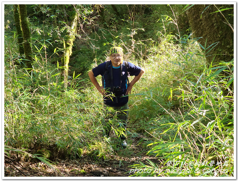 白姑大山3天2夜行Day1登山口至松針營地篇 白姑大山3天2夜行Day1登山口至松針營地篇