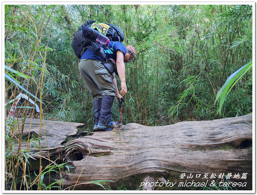 白姑大山3天2夜行Day1登山口至松針營地篇 白姑大山3天2夜行Day1登山口至松針營地篇