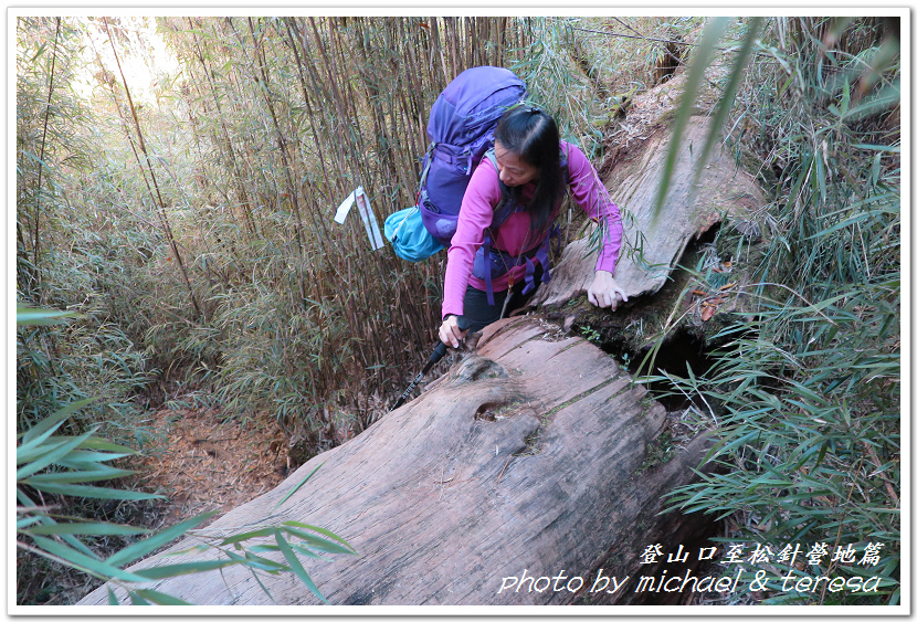 白姑大山3天2夜行Day1登山口至松針營地篇 白姑大山3天2夜行Day1登山口至松針營地篇