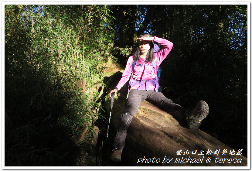 白姑大山3天2夜行Day1登山口至松針營地篇 白姑大山3天2夜行Day1登山口至松針營地篇