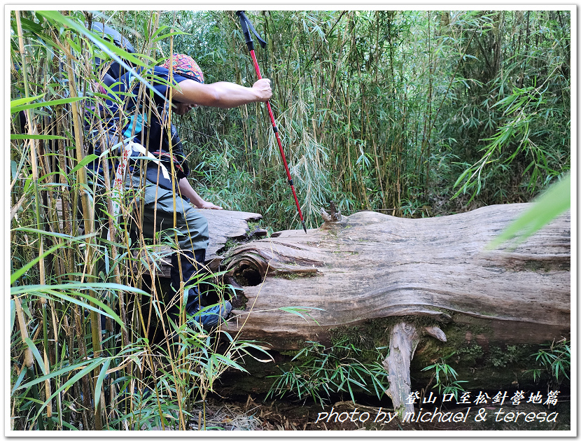 白姑大山3天2夜行Day1登山口至松針營地篇 白姑大山3天2夜行Day1登山口至松針營地篇