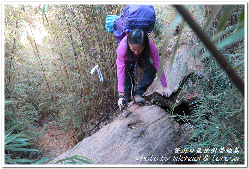 白姑大山3天2夜行Day1登山口至松針營地篇 白姑大山3天2夜行Day1登山口至松針營地篇