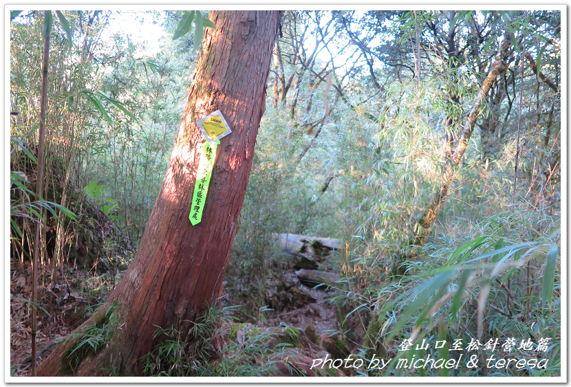 白姑大山3天2夜行Day1登山口至松針營地篇 白姑大山3天2夜行Day1登山口至松針營地篇