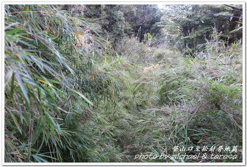 白姑大山3天2夜行Day1登山口至松針營地篇 白姑大山3天2夜行Day1登山口至松針營地篇