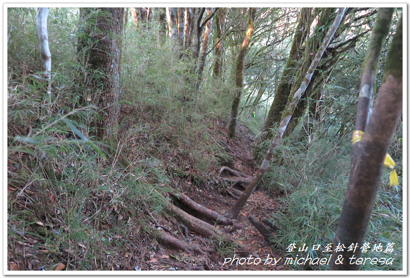白姑大山3天2夜行Day1登山口至松針營地篇 白姑大山3天2夜行Day1登山口至松針營地篇