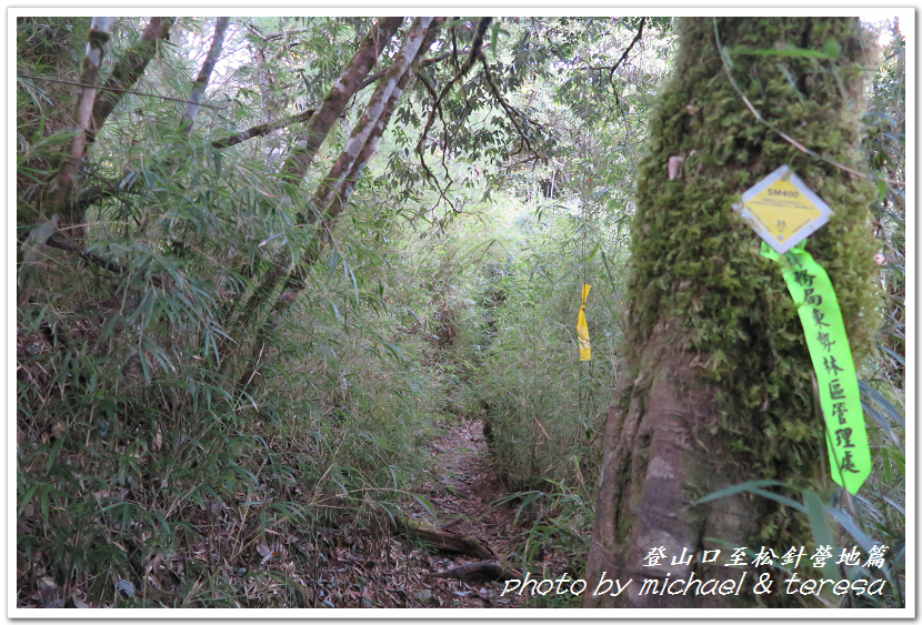白姑大山3天2夜行Day1登山口至松針營地篇 白姑大山3天2夜行Day1登山口至松針營地篇