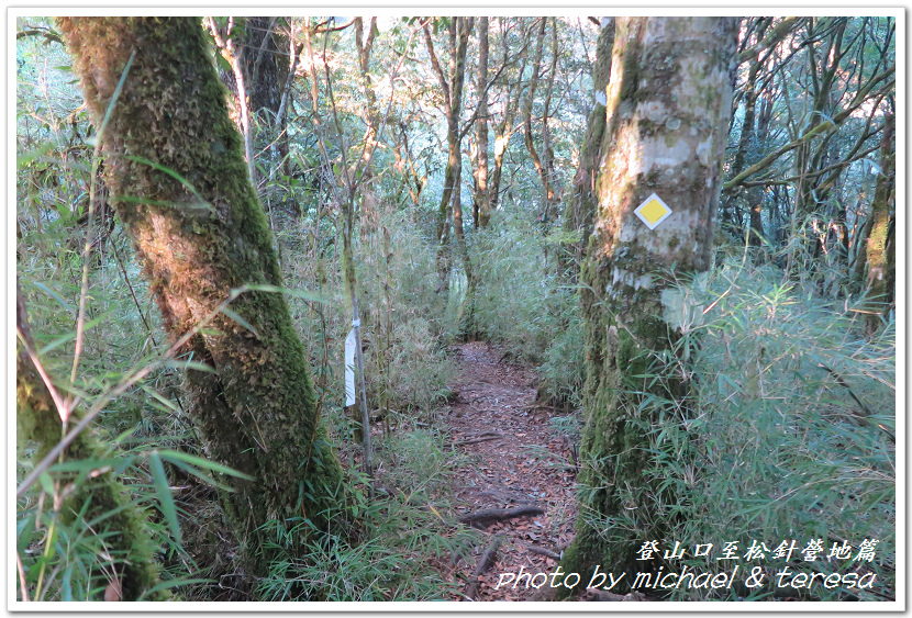 白姑大山3天2夜行Day1登山口至松針營地篇 白姑大山3天2夜行Day1登山口至松針營地篇