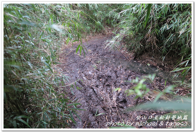 白姑大山3天2夜行Day1登山口至松針營地篇 白姑大山3天2夜行Day1登山口至松針營地篇