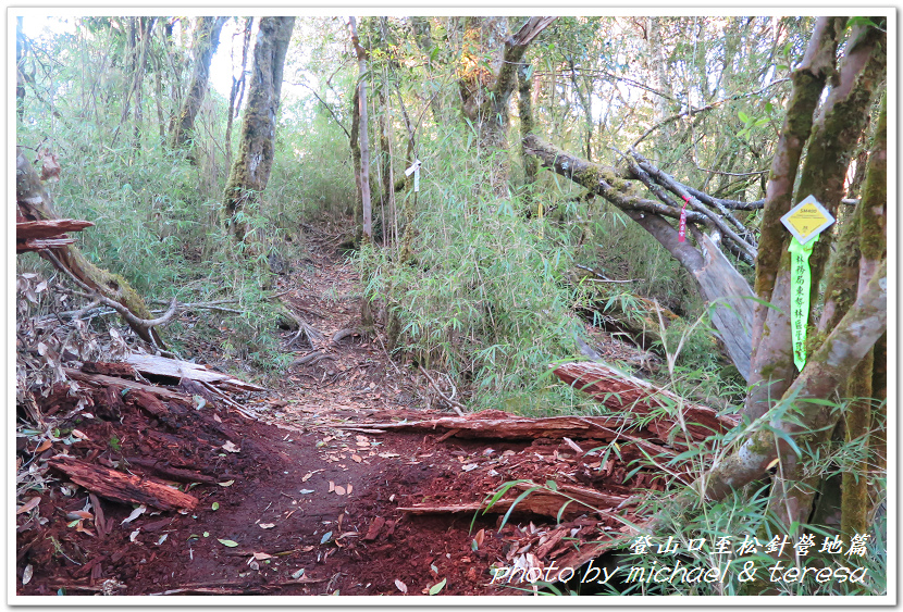 白姑大山3天2夜行Day1登山口至松針營地篇 白姑大山3天2夜行Day1登山口至松針營地篇