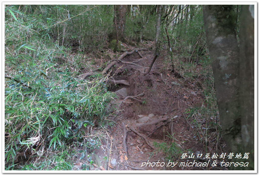 白姑大山3天2夜行Day1登山口至松針營地篇 白姑大山3天2夜行Day1登山口至松針營地篇