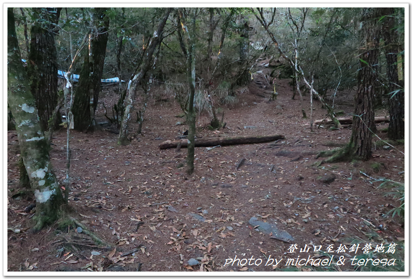 白姑大山3天2夜行Day1登山口至松針營地篇 白姑大山3天2夜行Day1登山口至松針營地篇