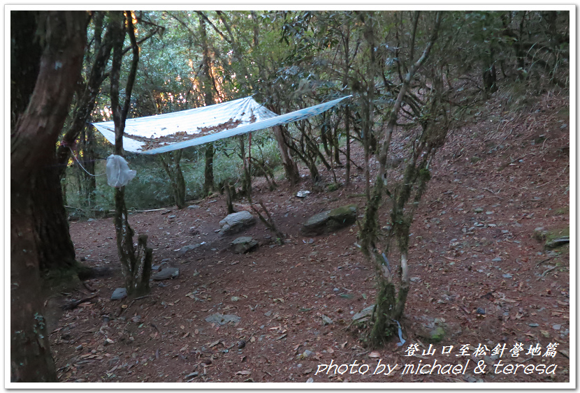 白姑大山3天2夜行Day1登山口至松針營地篇 白姑大山3天2夜行Day1登山口至松針營地篇