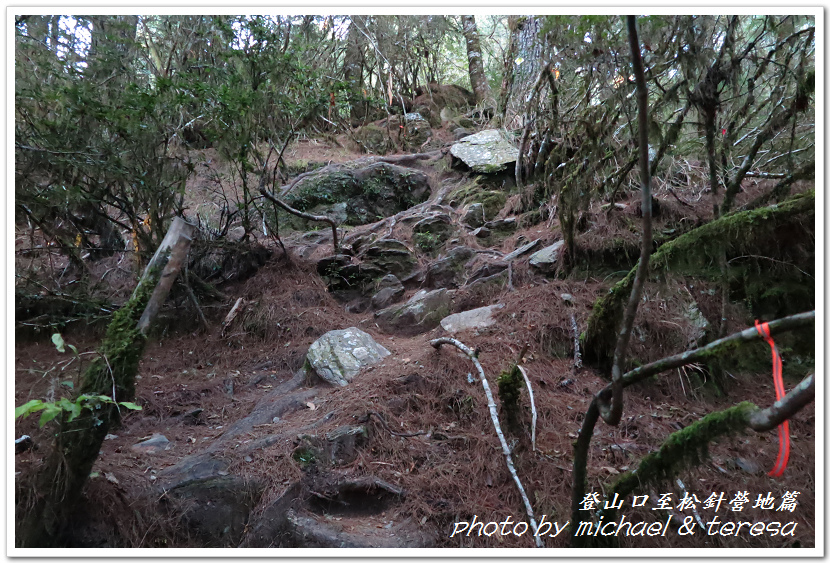 白姑大山3天2夜行Day1登山口至松針營地篇 白姑大山3天2夜行Day1登山口至松針營地篇
