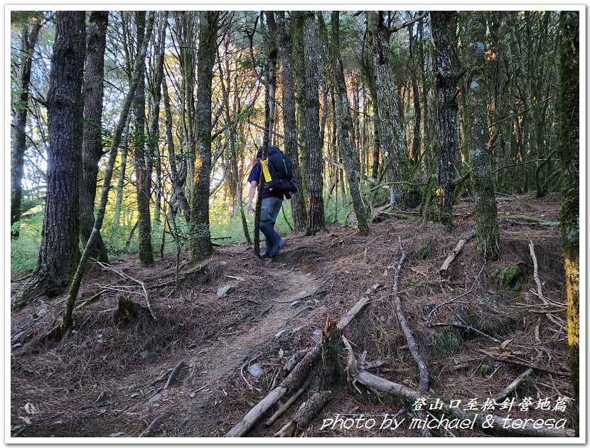 白姑大山3天2夜行Day1登山口至松針營地篇 白姑大山3天2夜行Day1登山口至松針營地篇