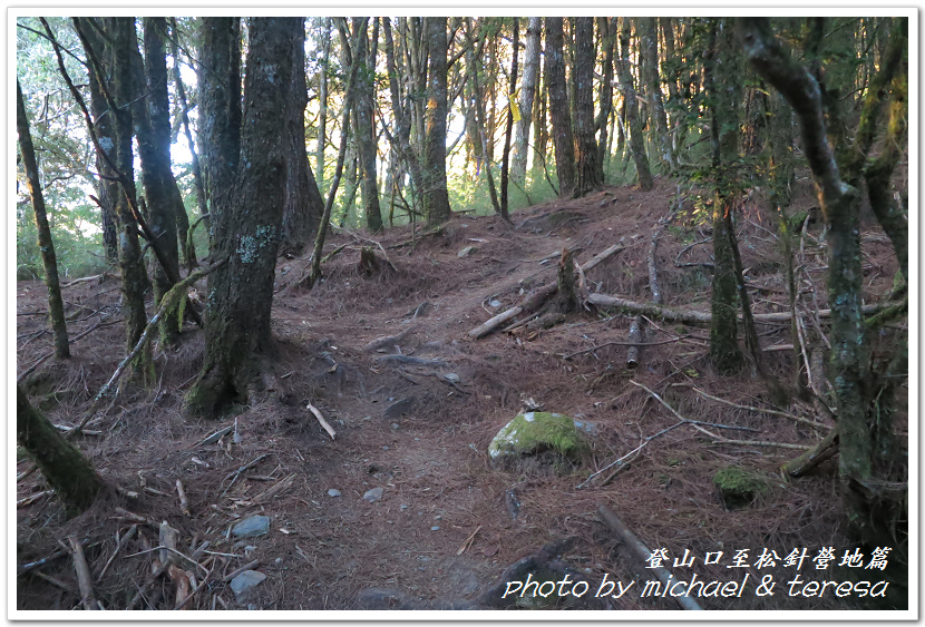 白姑大山3天2夜行Day1登山口至松針營地篇 白姑大山3天2夜行Day1登山口至松針營地篇