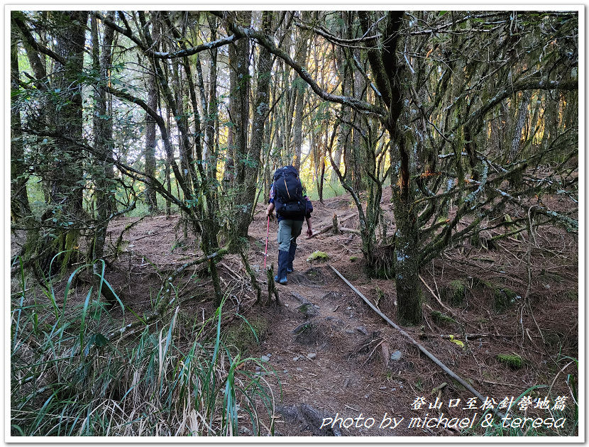 白姑大山3天2夜行Day1登山口至松針營地篇 白姑大山3天2夜行Day1登山口至松針營地篇