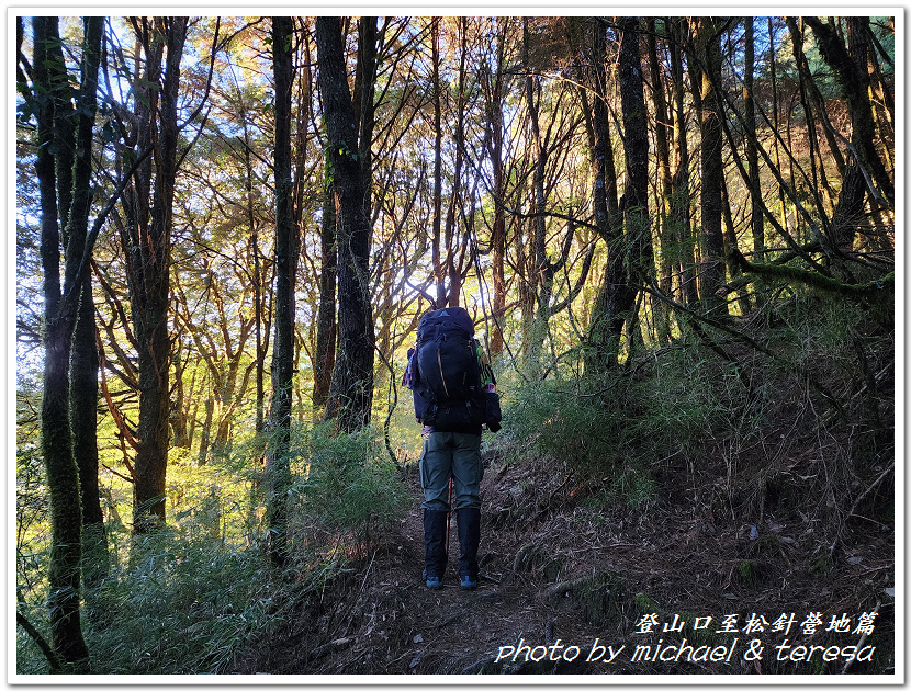 白姑大山3天2夜行Day1登山口至松針營地篇 白姑大山3天2夜行Day1登山口至松針營地篇