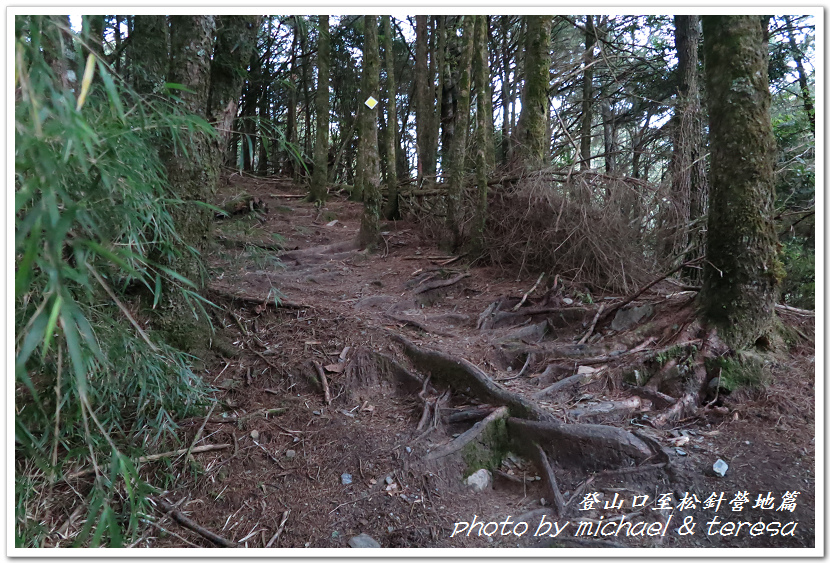 白姑大山3天2夜行Day1登山口至松針營地篇 白姑大山3天2夜行Day1登山口至松針營地篇