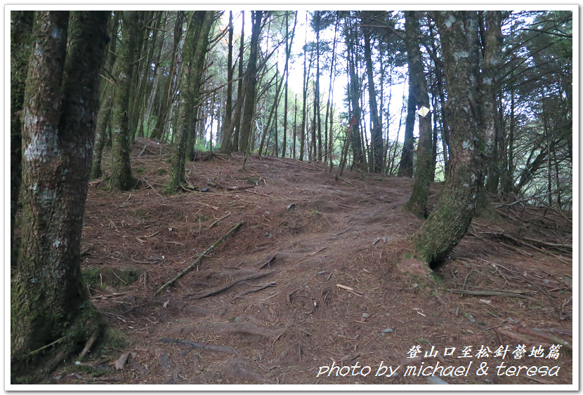 白姑大山3天2夜行Day1登山口至松針營地篇 白姑大山3天2夜行Day1登山口至松針營地篇