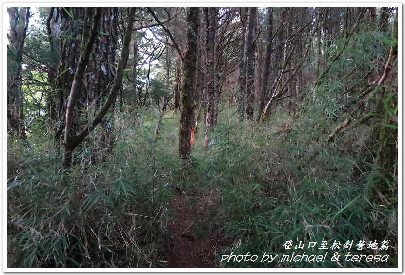 白姑大山3天2夜行Day1登山口至松針營地篇 白姑大山3天2夜行Day1登山口至松針營地篇