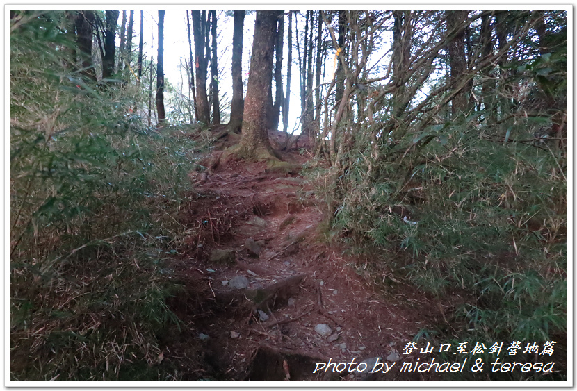 白姑大山3天2夜行Day1登山口至松針營地篇 白姑大山3天2夜行Day1登山口至松針營地篇