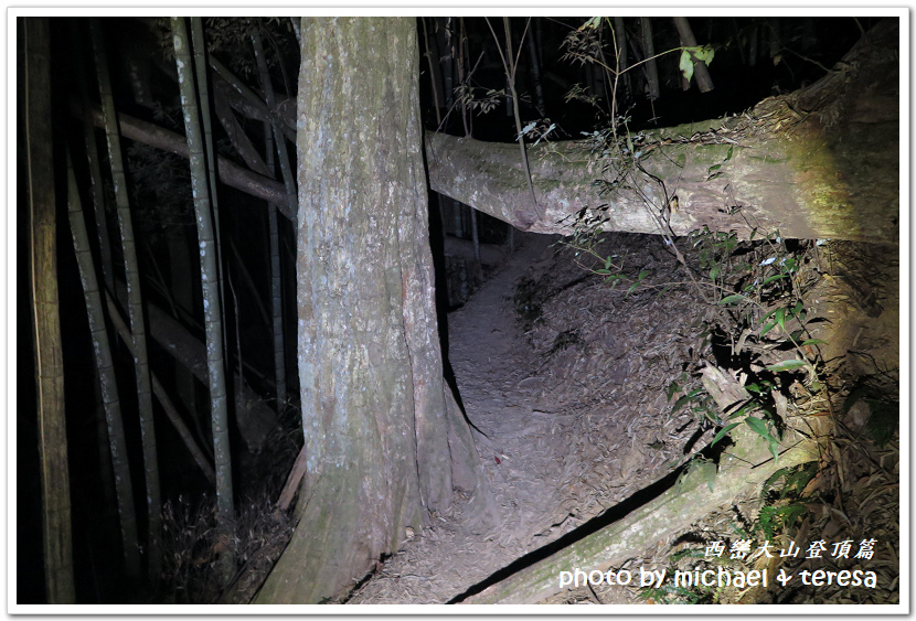 西巒大山3天2夜行我們的第64座百岳NO97西巒大山登頂篇