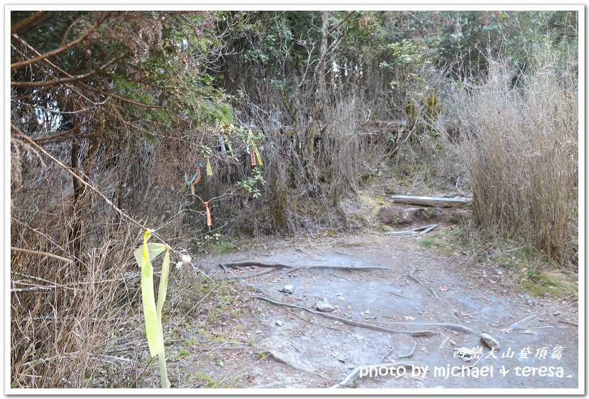 西巒大山3天2夜行我們的第64座百岳NO92西巒大山登頂篇