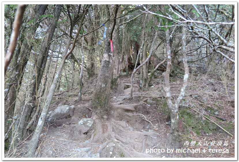 西巒大山3天2夜行我們的第64座百岳NO92西巒大山登頂篇