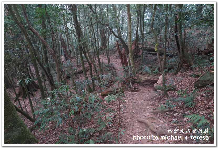 西巒大山3天2夜行我們的第64座百岳NO92西巒大山登頂篇