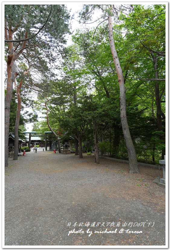 日本北海道8天7夜自由行Day7(下)琴似神社、北海道神宮、 日本北海道8天7夜自由行Day7(下)琴似神社、北海道神宮、